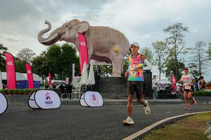 BIB: 
                            <button type="button" onclick="openModal(26528507)" class="btn btn-primary btn-sm float-right btn-popup" data-toggle="modal" data-target=".modal-high-quality">
                        <i class="fas fa-shopping-cart"></i> Add to Cart
                    </button>
                                            <button type="button" onclick="isThisMe(26528507, true)" class="btn btn-success btn-sm float-right btn-popup btn-isme hidden" data-toggle="tooltip" data-placement="bottom" title="นี่คือรูปของคุณใช่ไหม คลิกที่นี่เพื่อเอาเข้าอัลบั้ม">
                        <i class="fas fa-plus"></i> Add to album
                    </button>
                    <button type="button" onclick="isThisMe(26528507, false)" class="btn btn-warning btn-sm float-right btn-popup btn-isnotme hidden">
                        <i class="fas fa-ban"></i> Remove from album
                    </button>